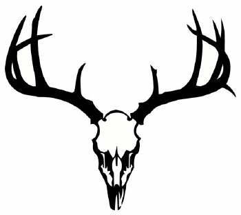 Whitetail Deer Clipart