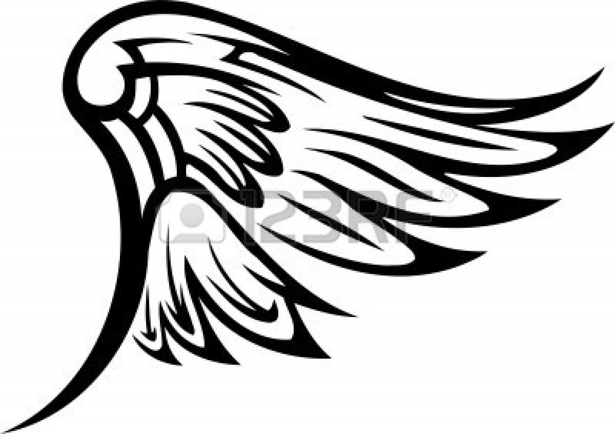 wings%20vector