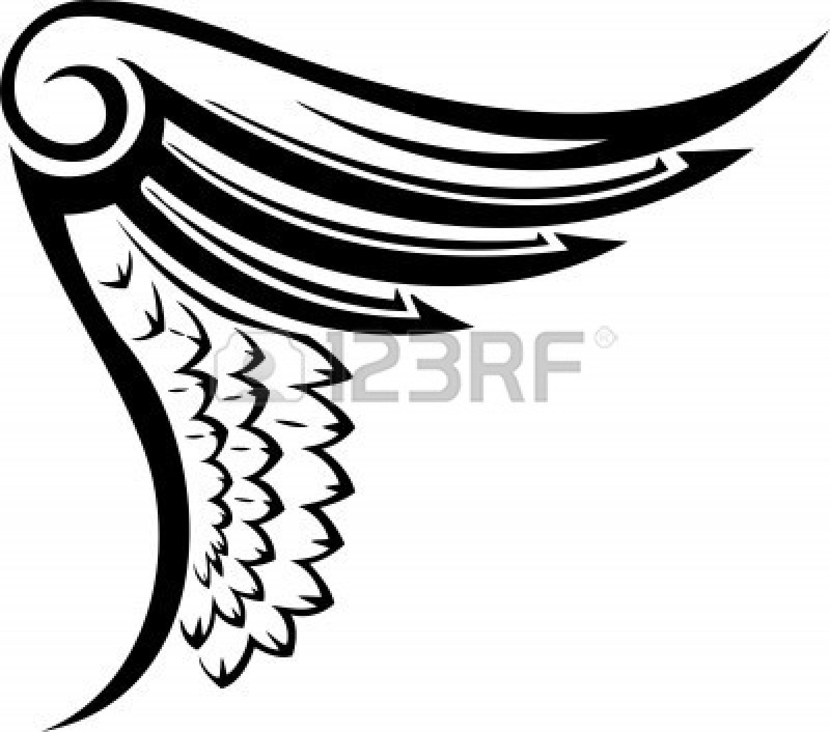 wings%20vector