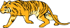 Tigre05 Clip Art