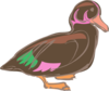 Stylized Duck Art Clip Art