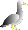 Jonathon S Duck Clip Art