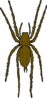 Brown Spider Clip Art