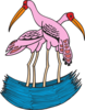 Two Flamingos In Water Clip Art