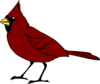 Cardinal Clip Art