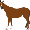 Horse Clip Art