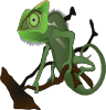 Chameleon 2 Clip Art