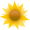 Sunflower Clip Art