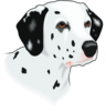 Dalmation Head Clip Art