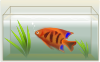 Fish Tank Clip Art