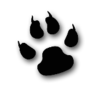 Cool Cat Animal Paw Image