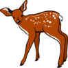 Fawn Clip Art