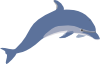 Dolphin 3 Clip Art