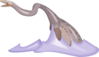 Mosasaurus Clip Art