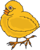 Happy Baby Chick Clip Art