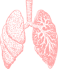 Lungs Clip Art