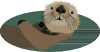 Sea Otter Clip Art