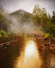 Rain In The Forest Image