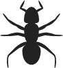 Ant Clip Art