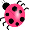 Pink Ladybug Clip Art