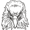 Eagle Image