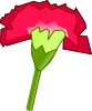 Carnation Flower 2 Clip Art