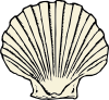 Scallop Shell Clip Art