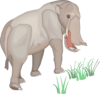 Platybelodon Clip Art