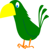 Toucan  Clip Art