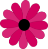 Pink Gerbera Twotone Clip Art