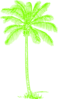 Green Palm Tree Clip Art