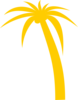 Palm Tree Clip Art