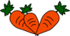 Carrots Clip Art