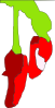 Chillies Clip Art