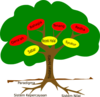 Tree Clip Art