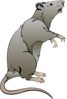 Rat Clip Art