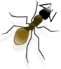 Ant Clip Art