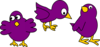 Little Purple Chicks With No Mom Clip Art