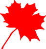 Maple Leaf Clip Art