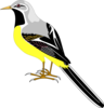 Bird Clip Art