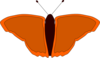 Orange Butterfly Clip Art