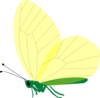 Yellow Butterfly Clip Art