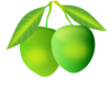 Mango Clip Art