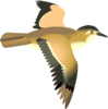 Flying Bird Clip Art