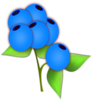 Blueberries Clip Art