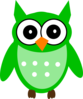 Green Owl Clip Art