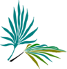 Palmetto Clip Art