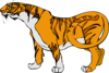 Cartoon Tiger Clip Art