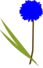 Blue Gerbera Clip Art