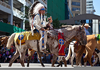 Calgary Stampede Parade Image